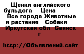 Щенки английского бульдога  › Цена ­ 60 000 - Все города Животные и растения » Собаки   . Иркутская обл.,Саянск г.